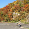 紅葉がすごかったPOINT　朝日スーパーライン🍁🍁🍁