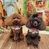 ★ルーナちゃん＆ヴィヴィちゃん★