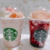 スターバックスのさくらを贅沢飲み比べ！気になる味はこちらから♪