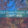 DJI Osmo pocket 3で紅葉を撮影。各カラーモードの比較など