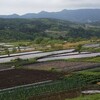 柴犬館長と大頭山に願う！