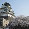 大阪城周辺の桜(去年のやつ)