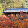  京都紅葉の旅　第三日目