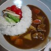 ダムカレー．．．風