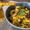 とんかつをした翌日に　その２　【翌日カツ丼】