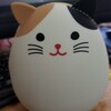 【自己紹介】猫が特に好きな件