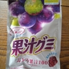 グミを介する父子のやりとり