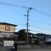 とらじろうはいい男になる。