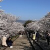 京都花見ツアー1日目