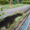 雨後に花壇準備作業