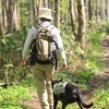 【神威岳】愛犬スバルと林道散策。鳥のさえずりに川の流れ、マイナスイオンでリフレッシュ！