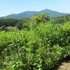 日山/徳養 2023年6月4日