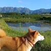 今日は怒髪天をつく！