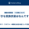 Q.好きな民族衣装はなんですか？