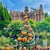 ディズニーランド☆ハロウィーン2022