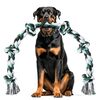 破壊王も諦める？Ycozyの最強犬用ロープおもちゃで愛犬のストレスを粉砕！