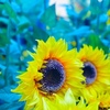 ８月３０日