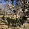 木曜日、千客万来