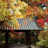 善光寺からの昌禅寺ジョグ