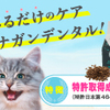 ☆ 愛猫の笑顔！「天然ケア成分配合キャットフード」 ☆