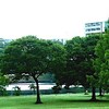 雨が上がると蒸し暑い朝