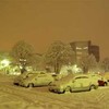 牡丹雪はlarge flakes of snowではない