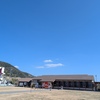 定置網丼が旨い！漁港食堂だいぼ（千葉県館山市）