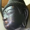 報恩寺阿弥陀如来坐像　頭部2