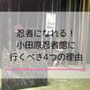 小田原で忍者体験！子連れが忍者館に行くべき4つの理由