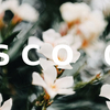 【比較・作例】Lightroom用プリセット「VSCO Film 02」を購入しました。