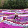 花追い旅：Flower  village  花夢の里 ⑥（広島県世羅郡世羅町）