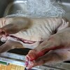 大入餅つき本当にスムーズに終了