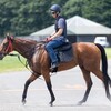 【一口馬主／ラキエータ、ソワドリヨン、カネラフィーナ、ミスティブルー】復帰に向けて、移動に療養に…