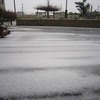 雪・・もう・・4月17日だぞ（東京都）