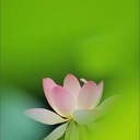 新しい世界へ。（今、伝えたいこと、真実とは、Q。.）