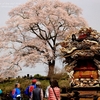 上岡・八龍神社の荘厳な山車・・