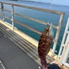  アウディQ8で行く金沢旅日記③。