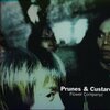 フラワーカンパニーズ「PRUNES&CUSTARD」（1999）