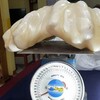 【フィリピン】漁師が発見した天然の巨大真珠、縁起物としてとっておいたら１０年後に１０８億円の価値判明（写真あり） 	