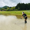 田んぼの除草