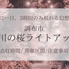 調布野川の桜ライトアップ2024！開催日や点灯時間はいつ？