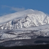 早春の稲倉岳