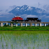 残雪の岩木山とホキ1245をプッシュするED333を撮る！(弘南鉄道弘南線撮影編)