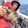 春告魚🐟を求めて…船サビキメバル～南あわじ 福良 正和丸🛥️