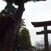 （日高）　晩秋の高麗神社　（192）