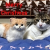 Merry Christmas!!