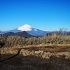 明神ヶ岳登山｜箱根外輪山第二高峰を強羅駅から日帰りで登ってみた