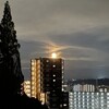 仲秋の名月は安らかに月光浴