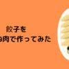 餃子を鶏むね肉で作ってみた