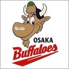 For ever Buffaloes